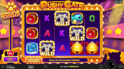 Pushy Cats slot