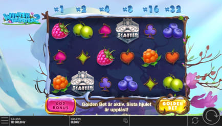 Winterberries 2 slot