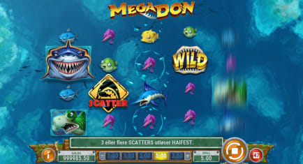 Mega Don slot