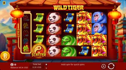 Wild Tiger Base Game
