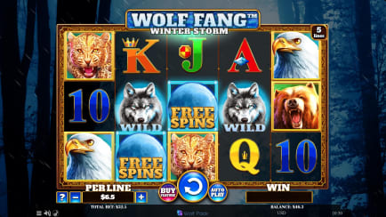 Wolf Fang: Winter Storm - Base Game