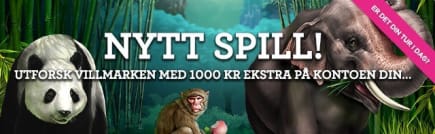 Jungeleventyr på det norske casinoet Vinnarum