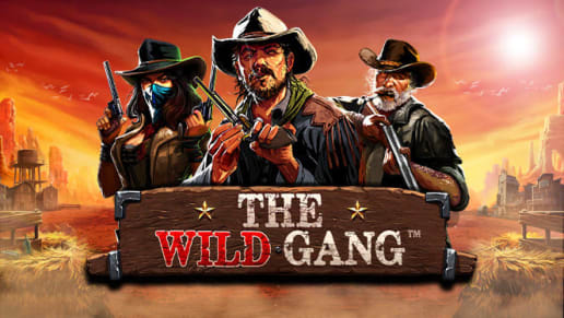 The Wild Gang