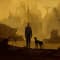 Post Apocalypse