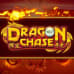 ドラゴンチェイス