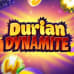 Durian Dynamite