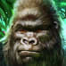Gorilla Kingdom