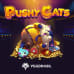Pushy Cats