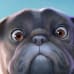 Tales of Dr. Dolittle