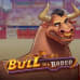 Bull in a Rodeo