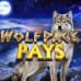 Wolfpack Pays