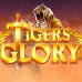 Tiger's Glory