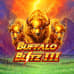 Buffalo Blitz III