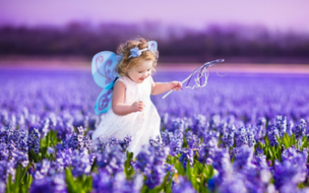 FAIRY PARTIES
