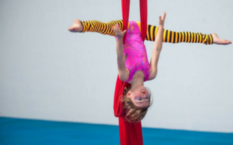 Circus or Ninja?