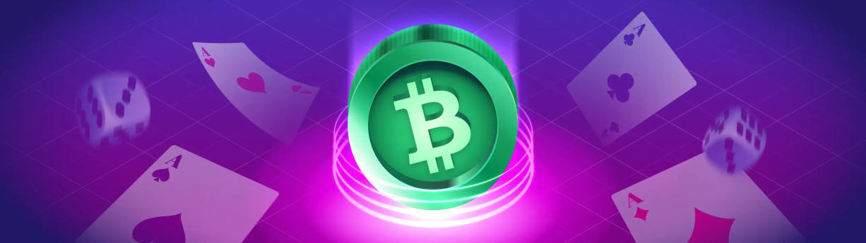 Bitcoin Cash Casino 