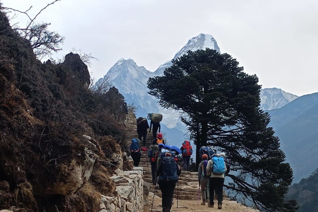 Everest Base Camp Trek by Road: 18 Days (No Lukla Flight): trail photo