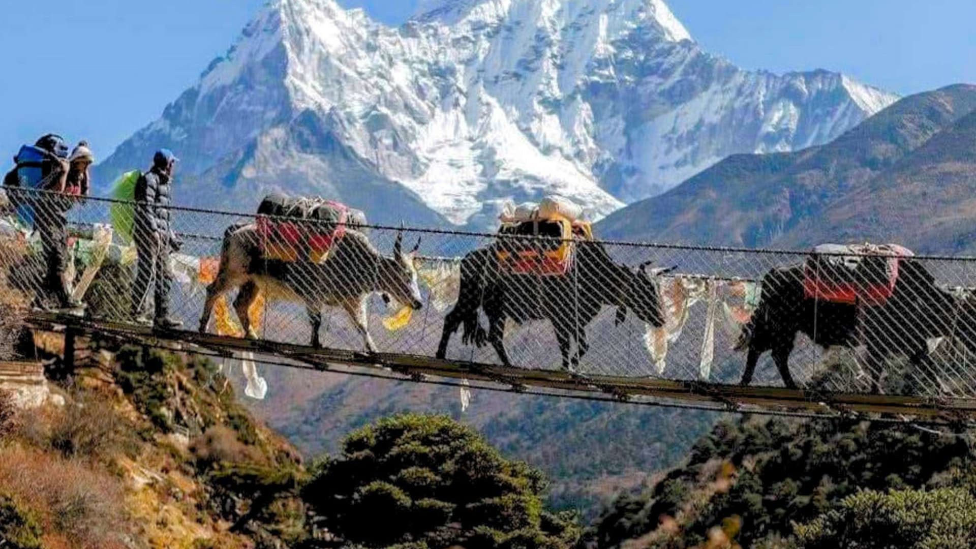 Sherpa Culture in the Khumbu: Religion, Villages, and Daily Life