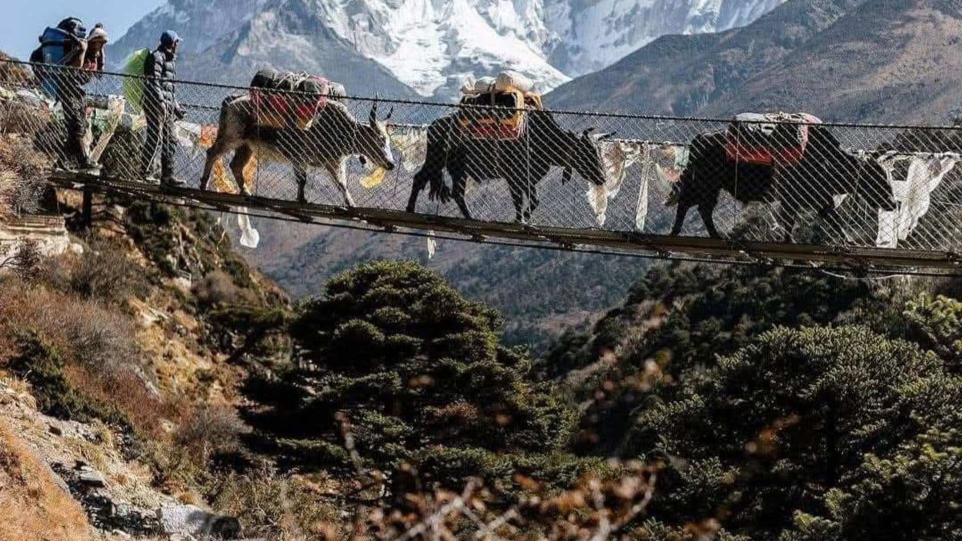 Dudh Koshi Valley, max elevation 3,440 m