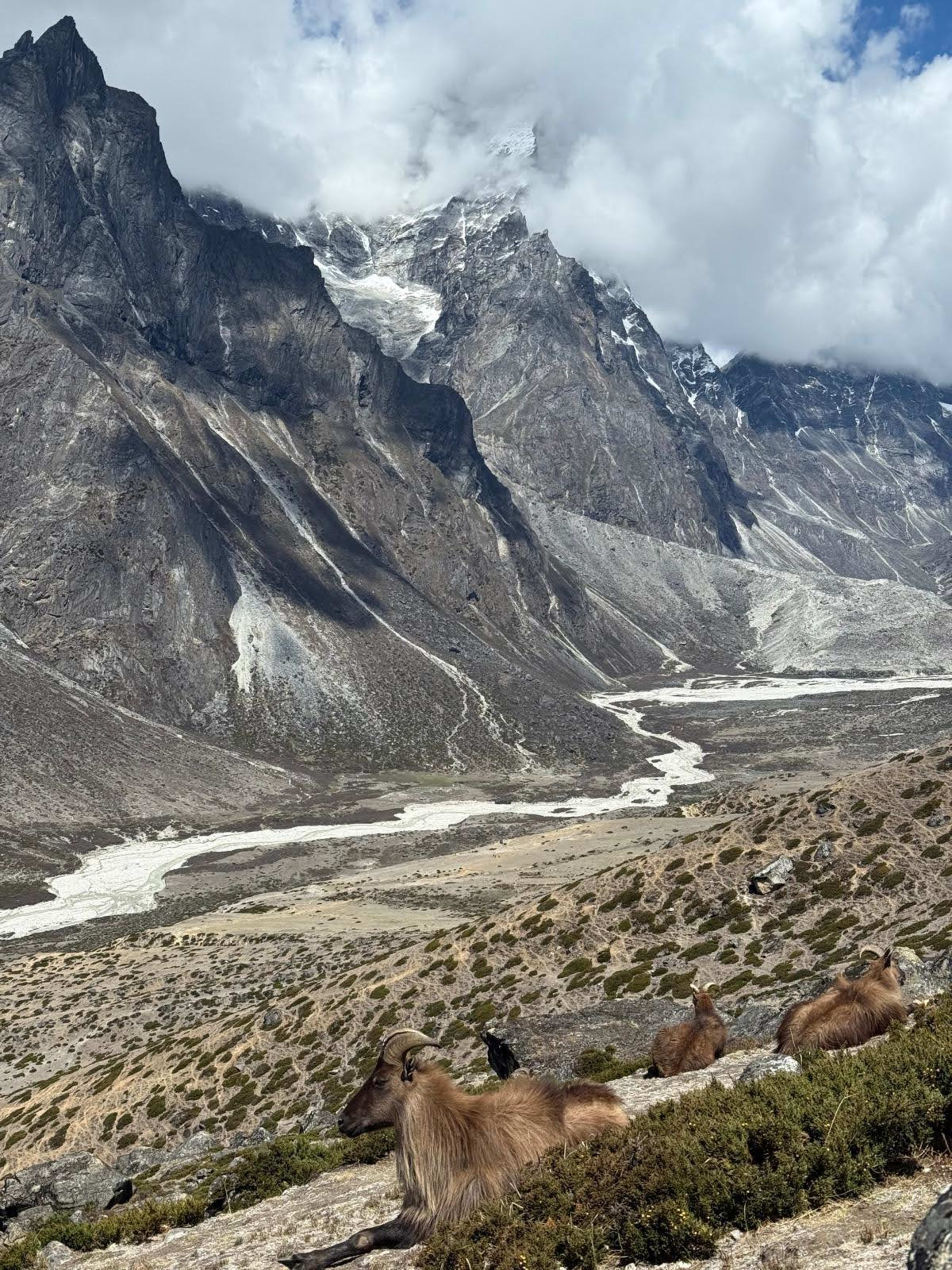 Sagarmatha National Park, 3,440 m
