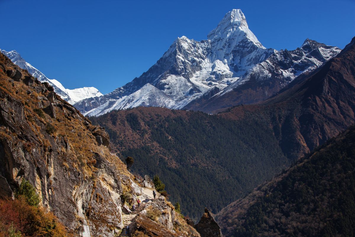 Ama Dablam über dem bewaldeten Tal des Imja Khola
