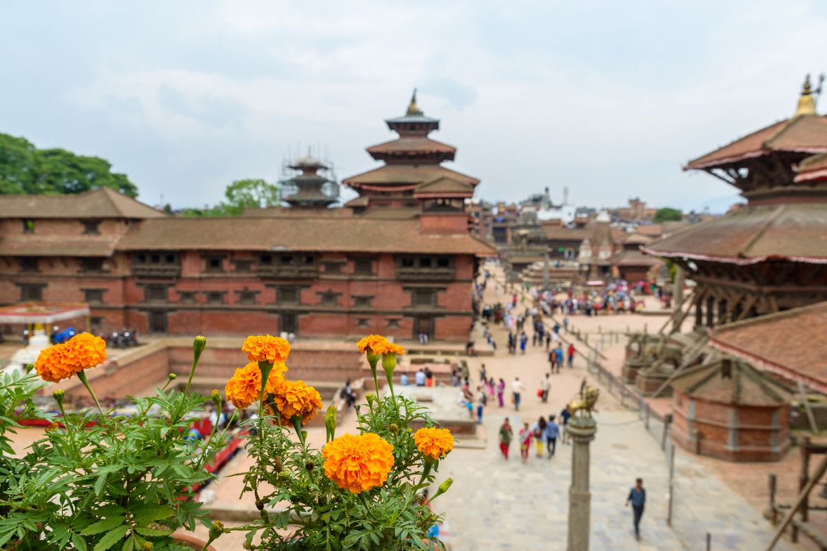 Königsplatz mit Ringelblumen im Kathmandu-Tal