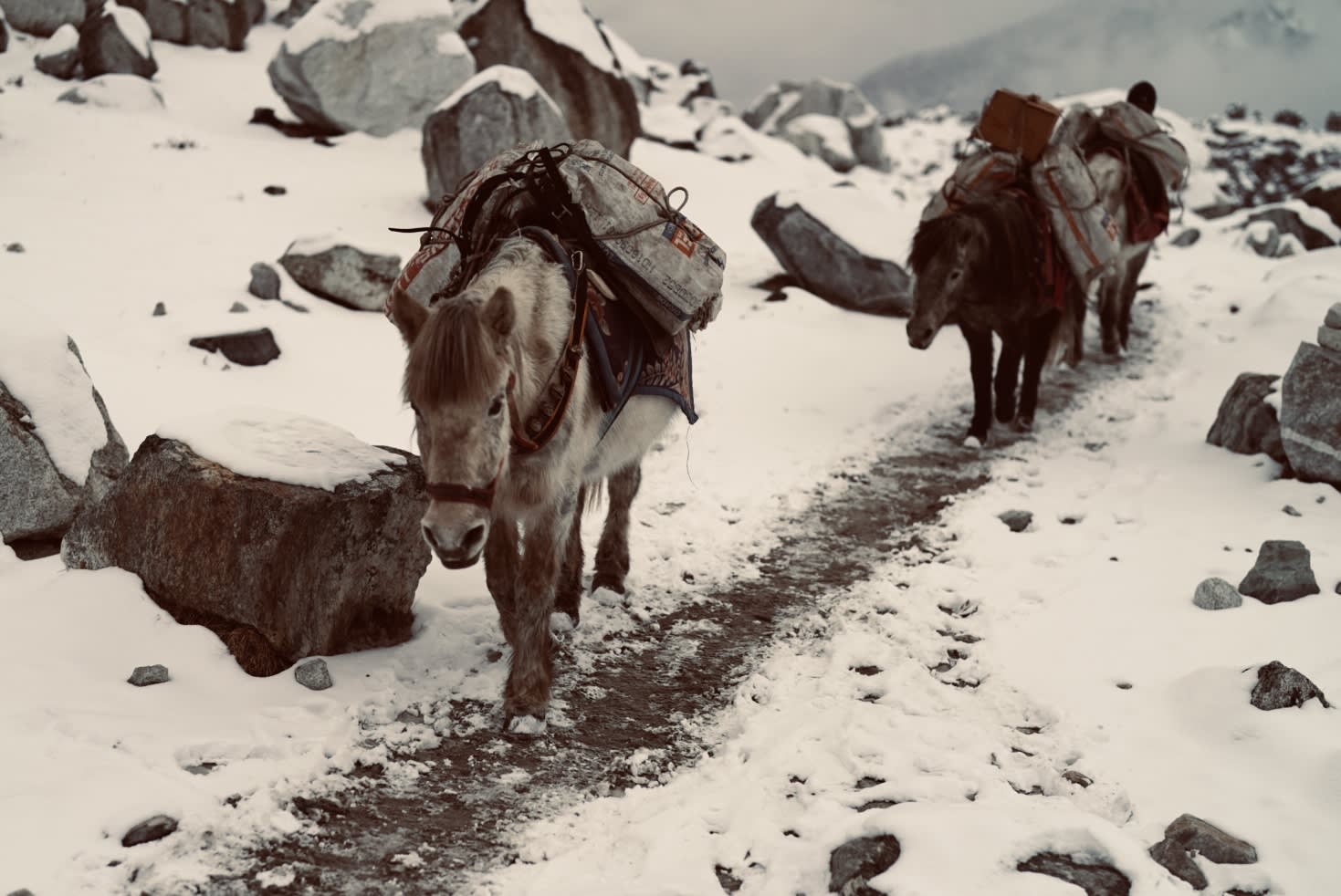 Geländewagen auf der Anfahrt zum Everest-Region-Trailhead