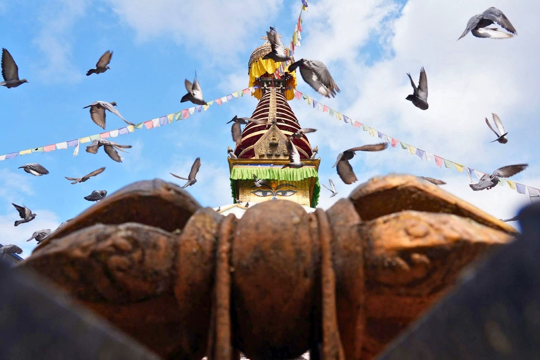 Stupa mit Gebetsfahnen und Tauben