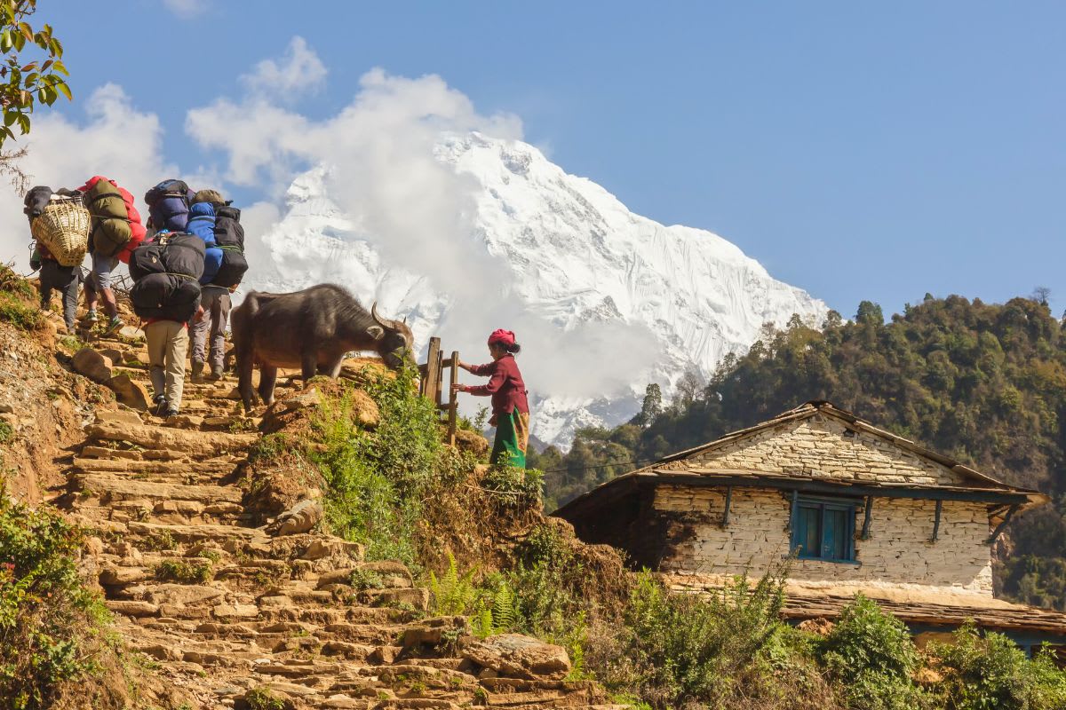 The Everest Base Camp Trek is a 12-day teahouse trek in Nepal's Khumbu region that ends at 5,364 m below the Khumbu Icefall