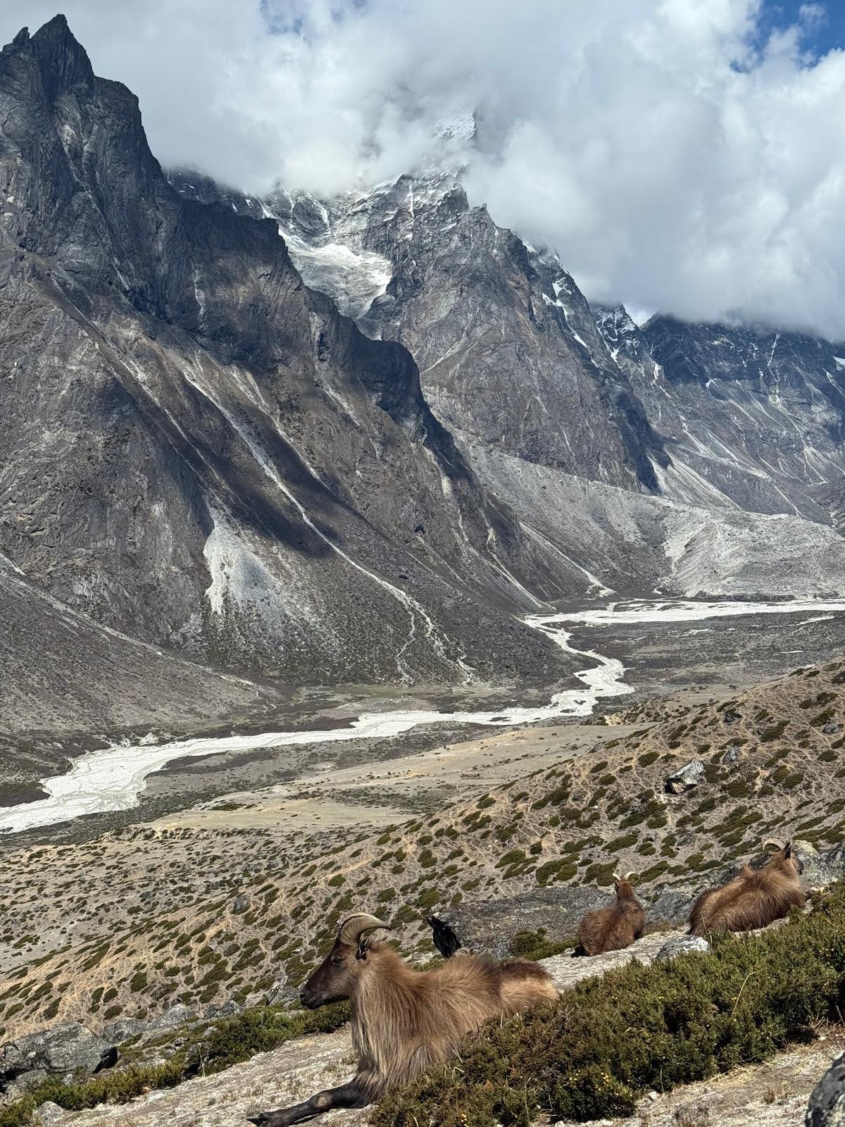 Everest