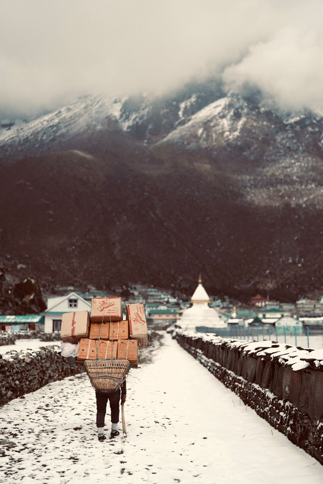 A porter carrying a client's load on the trail, insured and paid at or above TAAN's recommended daily rate