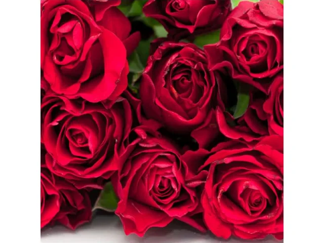 Χειροποίητο Ροδόνερο recipe