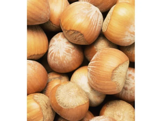 Τούρτα κάστανο - Τούρτες-Πάστες recipe