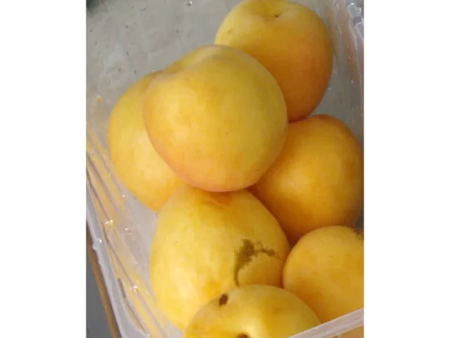 Τάρτα με βερίκοκα recipe