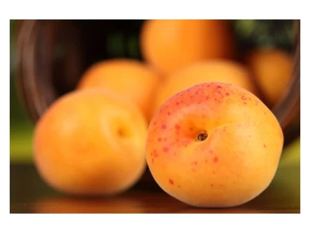 Επιδόρπιο με γιαούρτι και βερίκοκα recipe