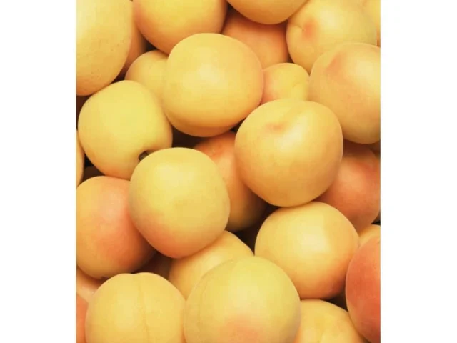 Γλυκιά Πίτα με Βερίκοκα recipe