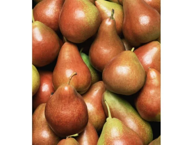 Τάρτα με καραμελωμένα αχλάδια recipe