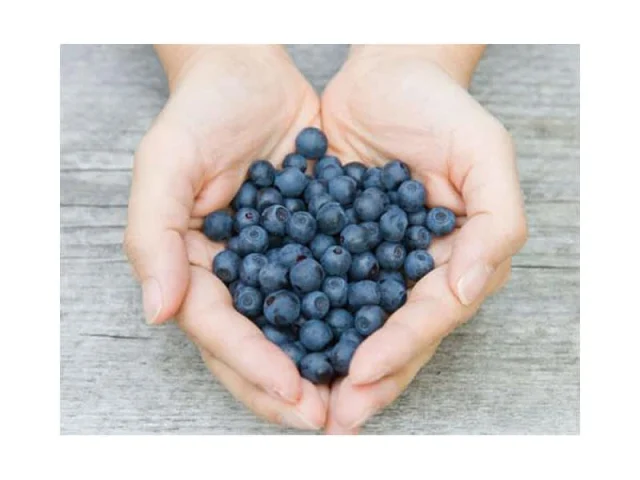 Πίτα με λεμόνι και μύρτιλα, χωρίς ζάχαρη recipe