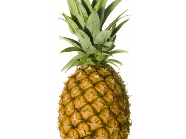 Σορμπέ ανανά recipe