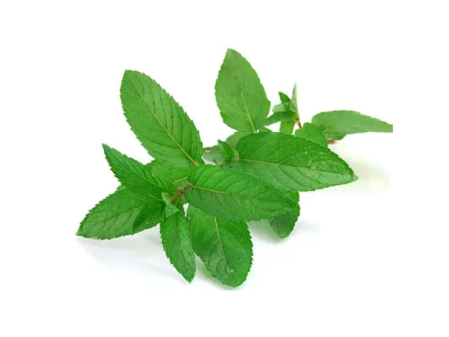 Κρέμα μασκαρπόνε και μέντα (για επικάλυψη) recipe