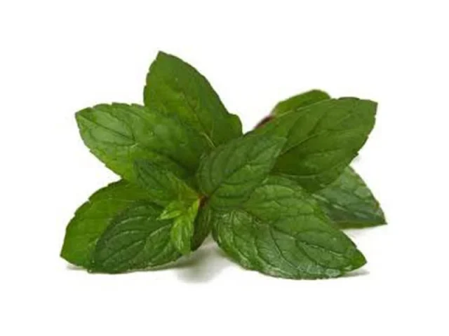 μέντες σοκολάτας - Σοκολατάκια recipe