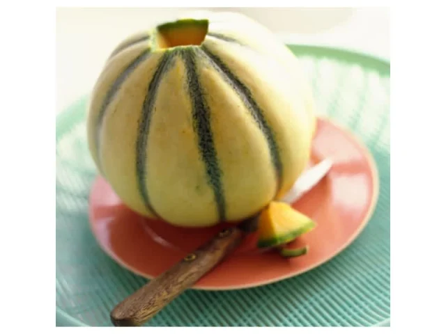 Παγωτό... κολοκύθα (είσαι και φαίνεσαι!) recipe