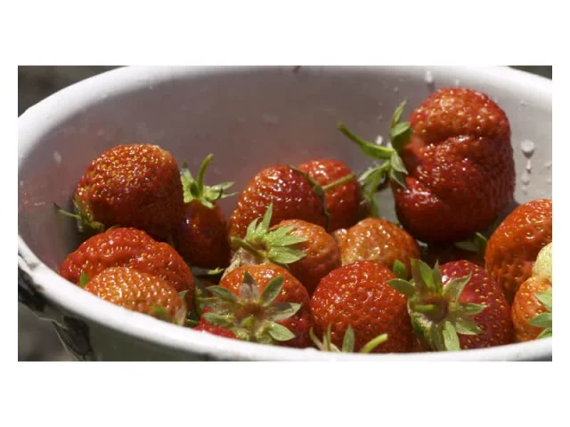 Ντόνατς βανίλιας-φράουλας του φούρνου recipe