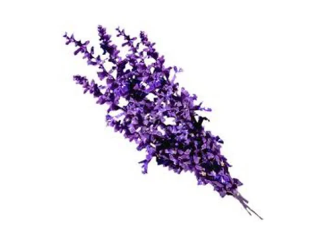 Μακαρόν λεβάντας με τυρένια κρέμα μελιού recipe