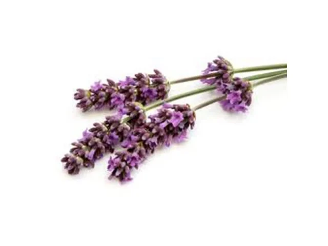 Μακαρόν λεβάντας με ροζ κρέμα από ροδόνερο recipe