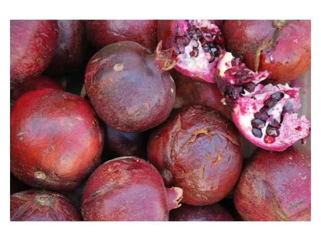 Παγωτό σοκολάτα-ρόδι recipe