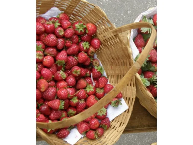 Μαρμελάδα φράουλας με ολόκληρες φράουλες! recipe