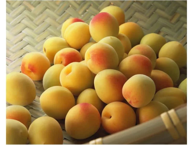 Γλυκό Βερίκοκο recipe