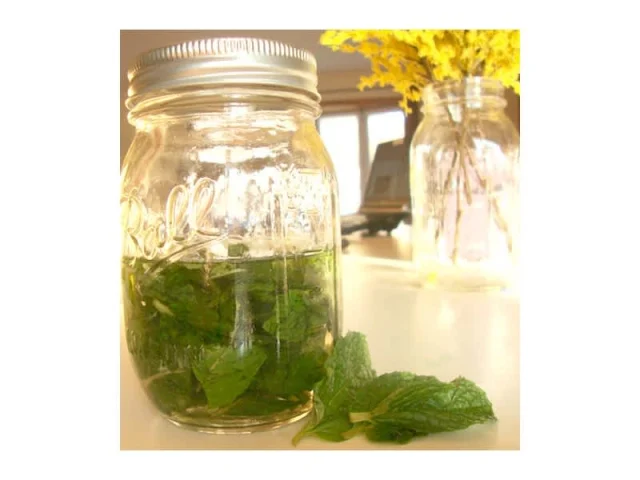 σπιτικό εκχύλισμα μέντας! (για να μην ψάχνεις...) recipe