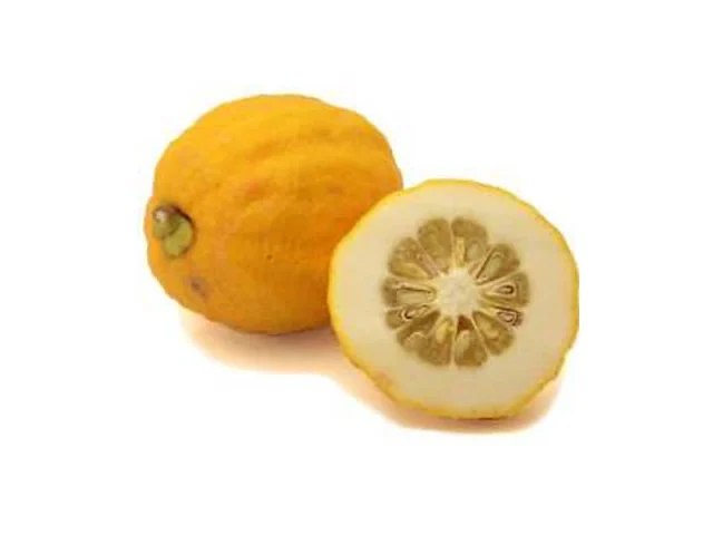 γλυκό κίτρο (του κουταλιού) recipe